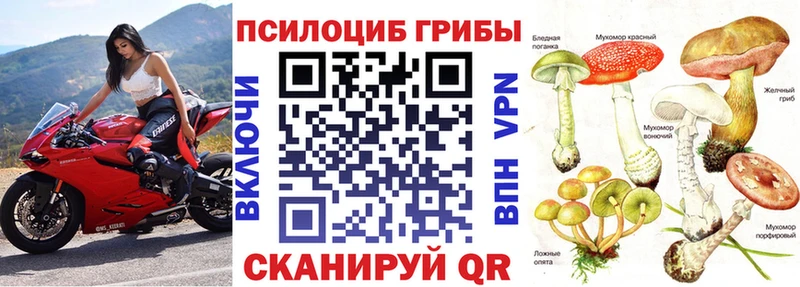 Псилоцибиновые грибы Psilocybine cubensis Чита