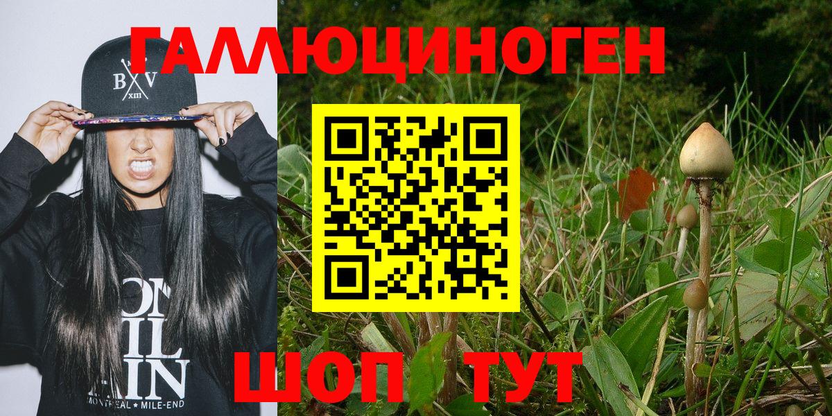 Псилоцибиновые грибы мухоморы  Вход с VPN  хочу наркоту  Псилоцибиновые грибы GOLDEN TEACHER  Чита 